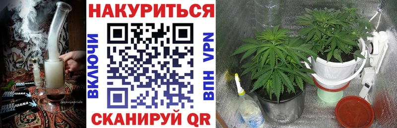 Купить закладки  Нахабино  Бошки марихуана конопля 